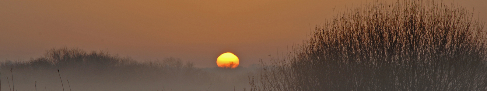 Sonnenaufgang, Nebel ©LfLBayern